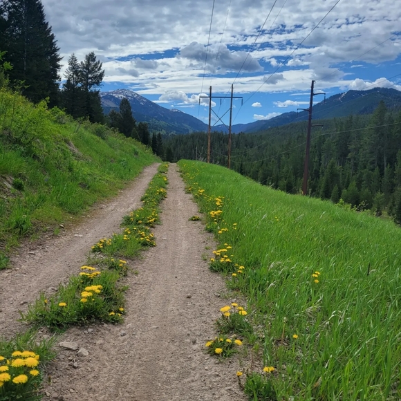 Meet your Posher, Sommer - Picture 4 of 5